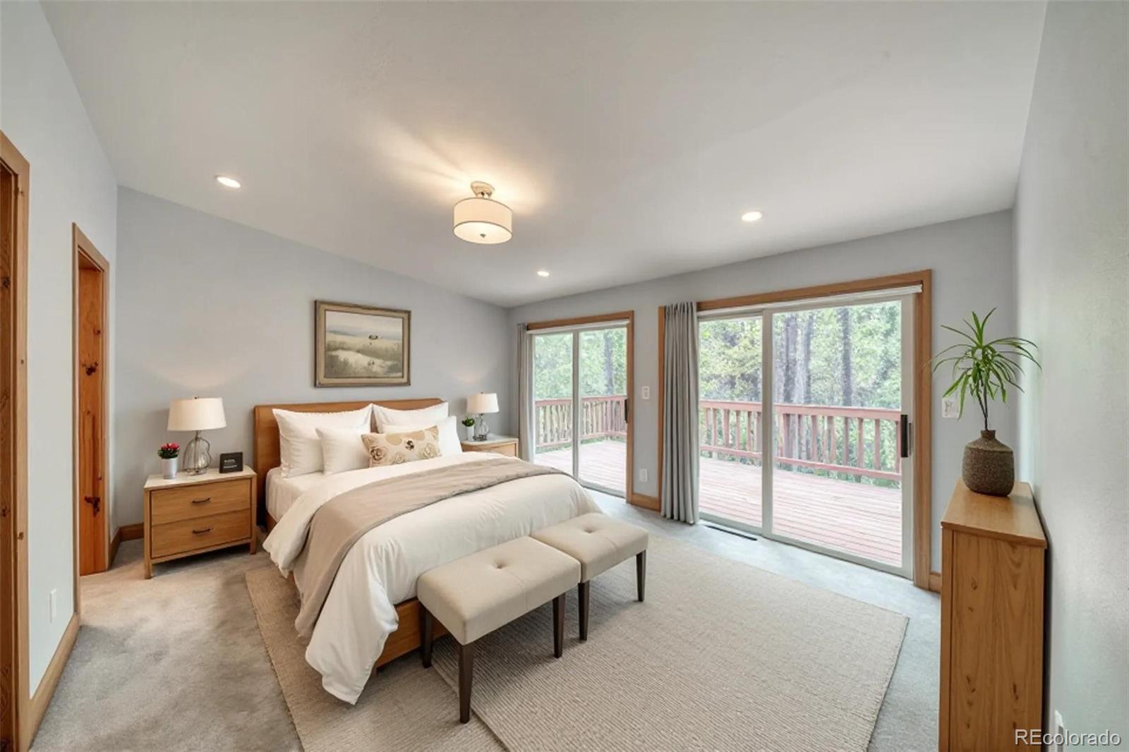 MLS Image #22 for 37  comstock court,leadville, Colorado