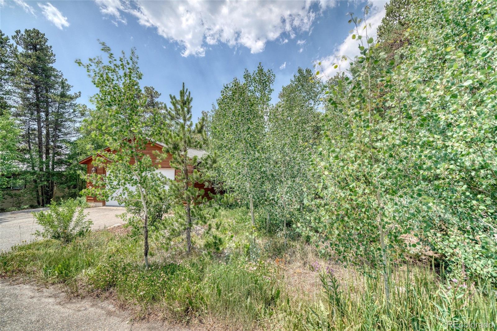 MLS Image #40 for 37  comstock court,leadville, Colorado