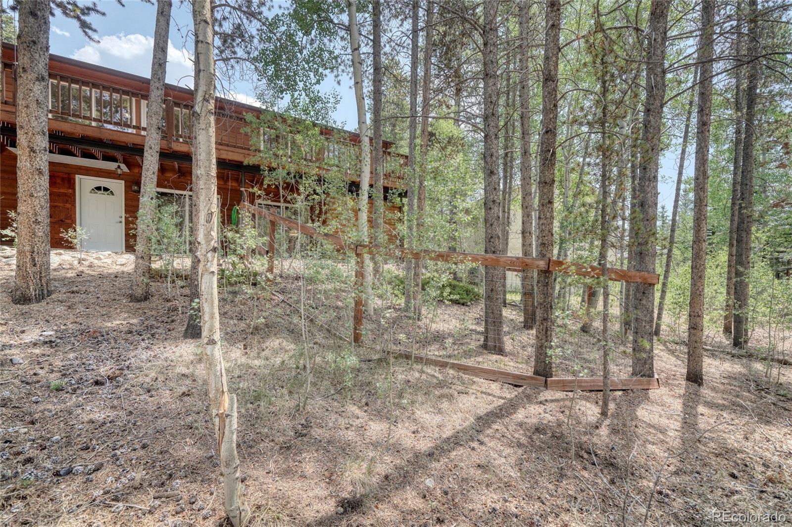 MLS Image #43 for 37  comstock court,leadville, Colorado