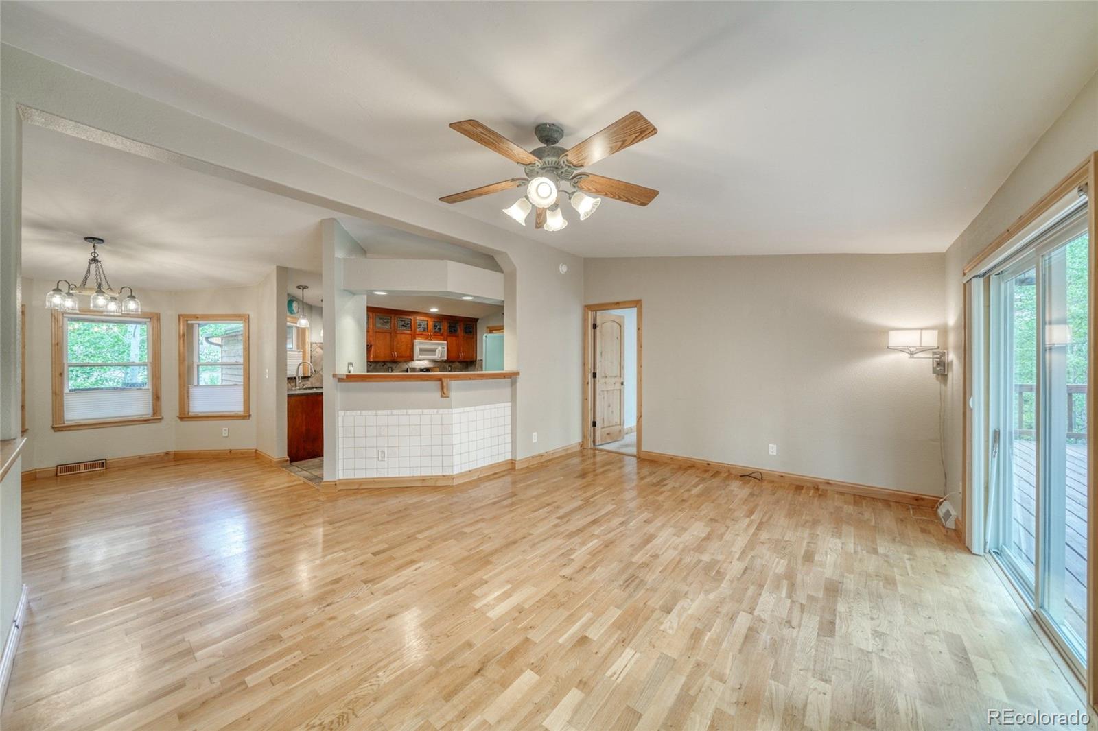 MLS Image #6 for 37  comstock court,leadville, Colorado