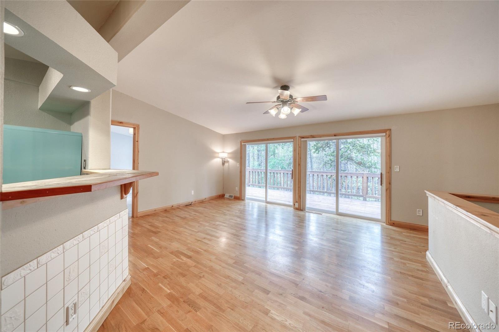 MLS Image #8 for 37  comstock court,leadville, Colorado