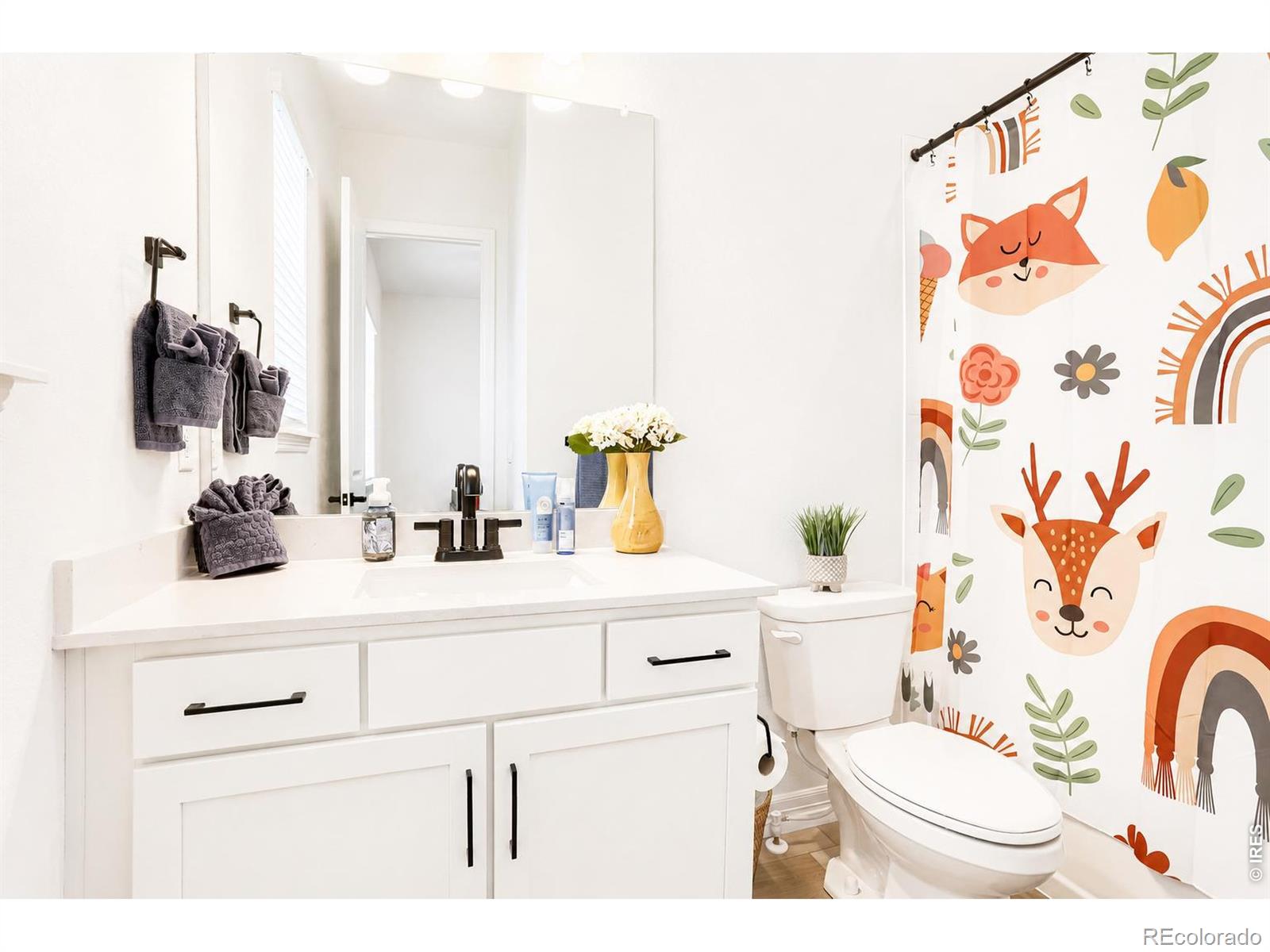 MLS Image #18 for 1365  alyssa drive,timnath, Colorado