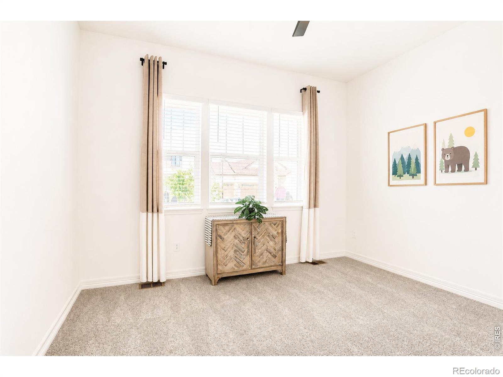 MLS Image #21 for 1365  alyssa drive,timnath, Colorado