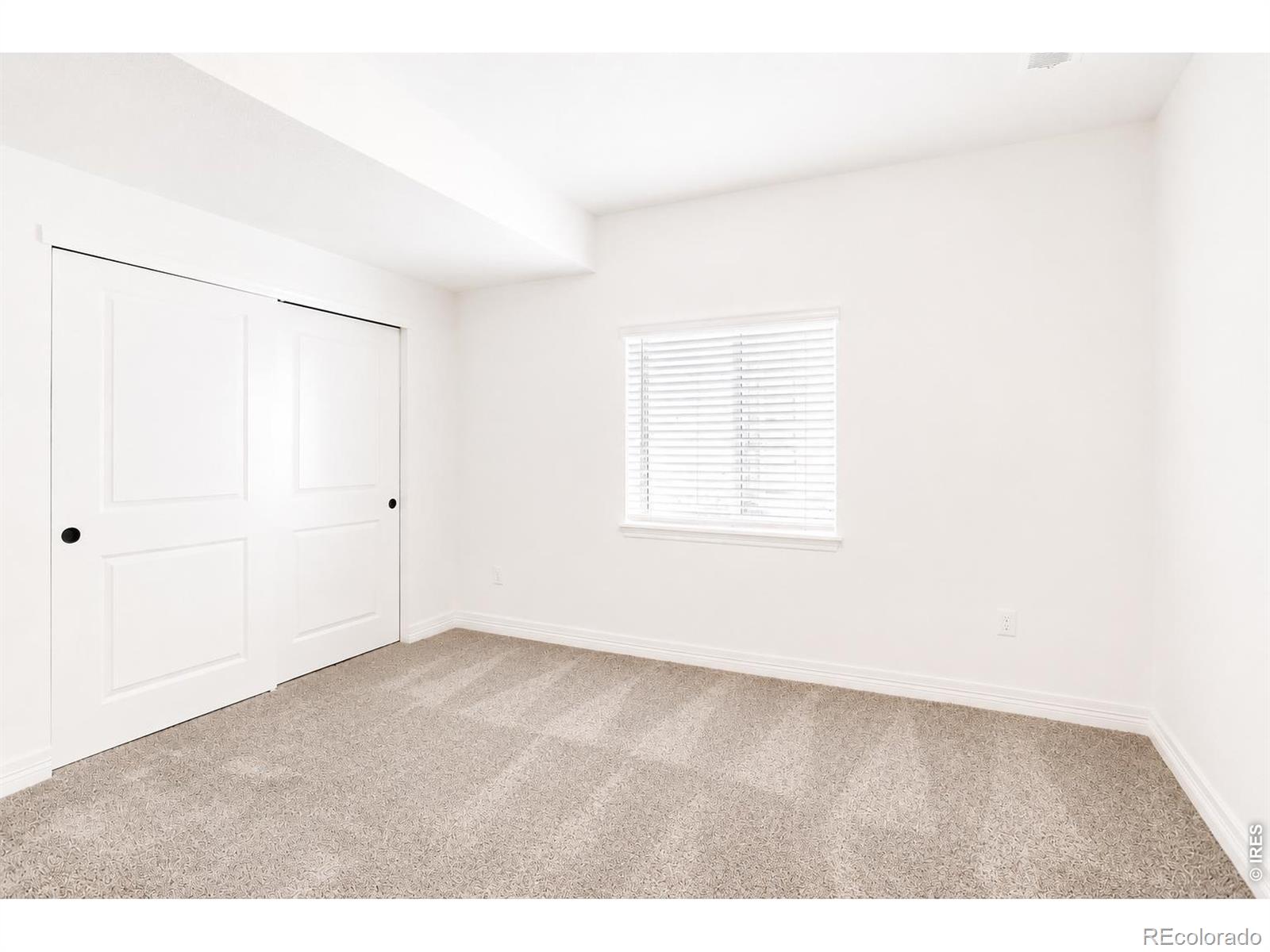 MLS Image #28 for 1365  alyssa drive,timnath, Colorado