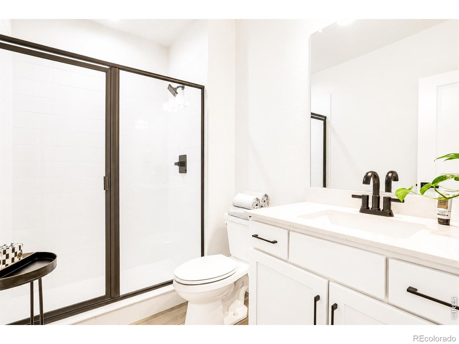 MLS Image #32 for 1365  alyssa drive,timnath, Colorado