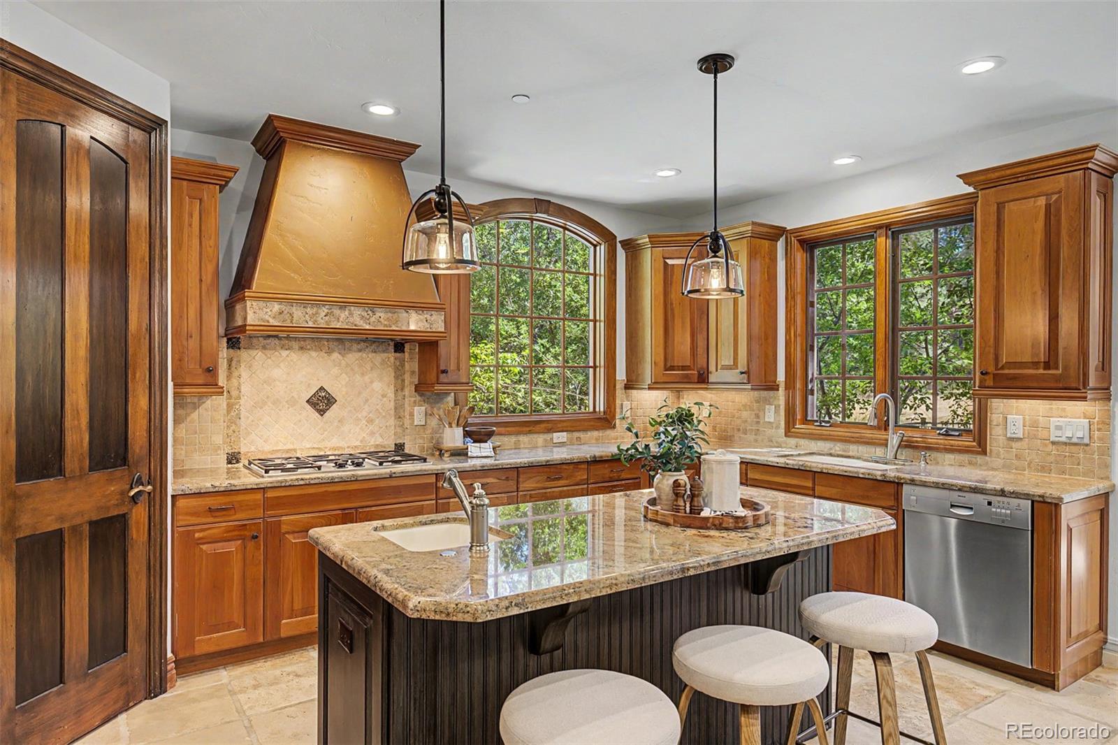 MLS Image #10 for 5270  red pass lane,castle rock, Colorado