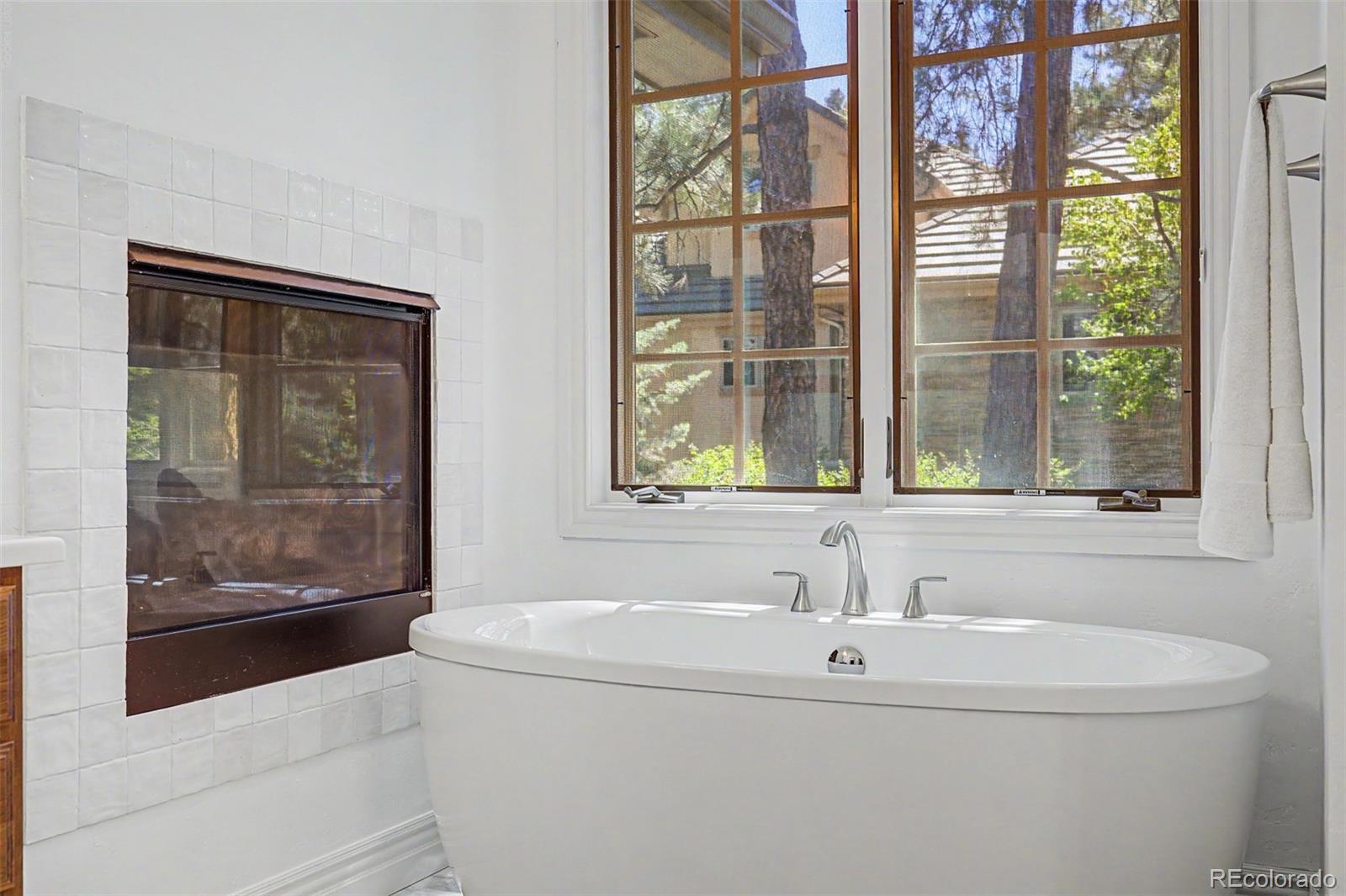 MLS Image #18 for 5270  red pass lane,castle rock, Colorado