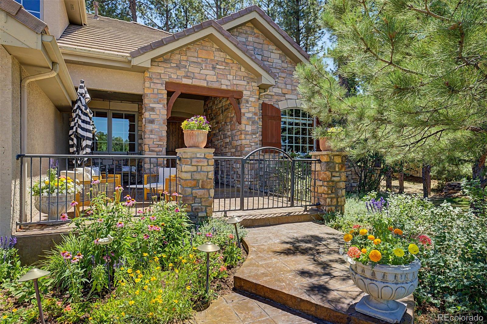 MLS Image #2 for 5270  red pass lane,castle rock, Colorado