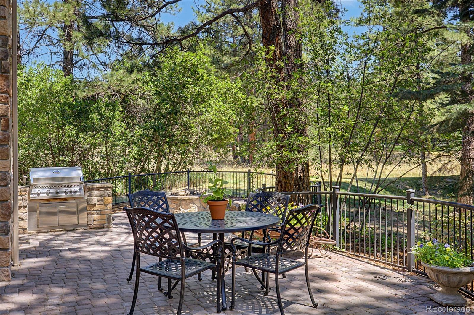 MLS Image #35 for 5270  red pass lane,castle rock, Colorado