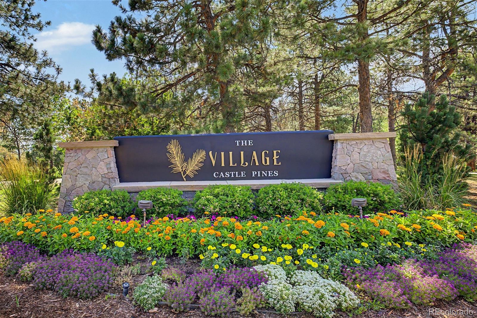 MLS Image #38 for 5270  red pass lane,castle rock, Colorado