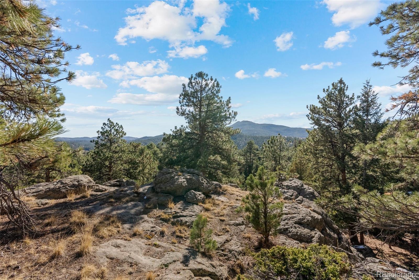 MLS Image #3 for 7153  silverhorn drive,evergreen, Colorado