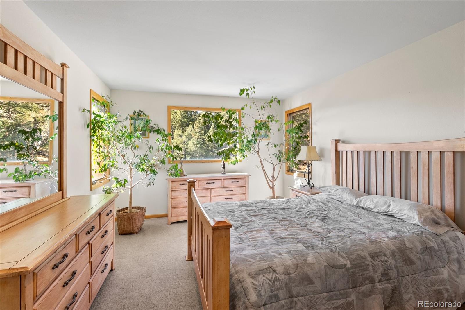 MLS Image #31 for 7153  silverhorn drive,evergreen, Colorado