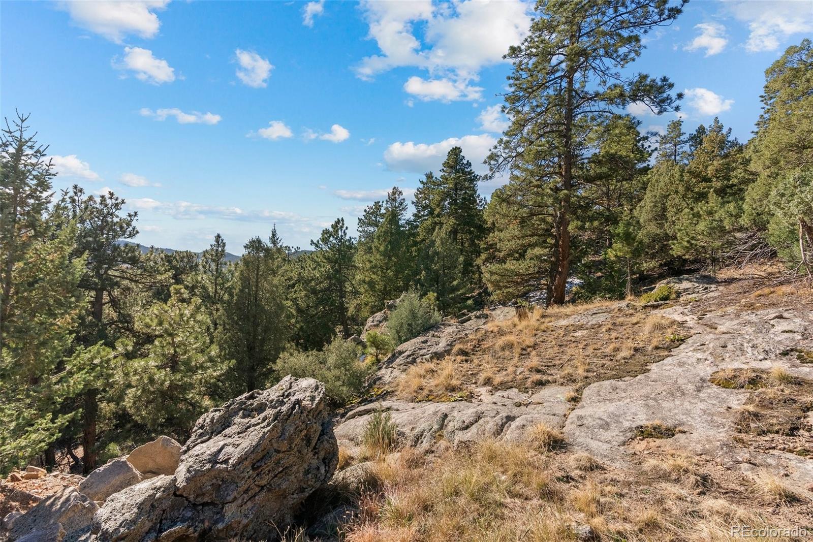 MLS Image #39 for 7153  silverhorn drive,evergreen, Colorado