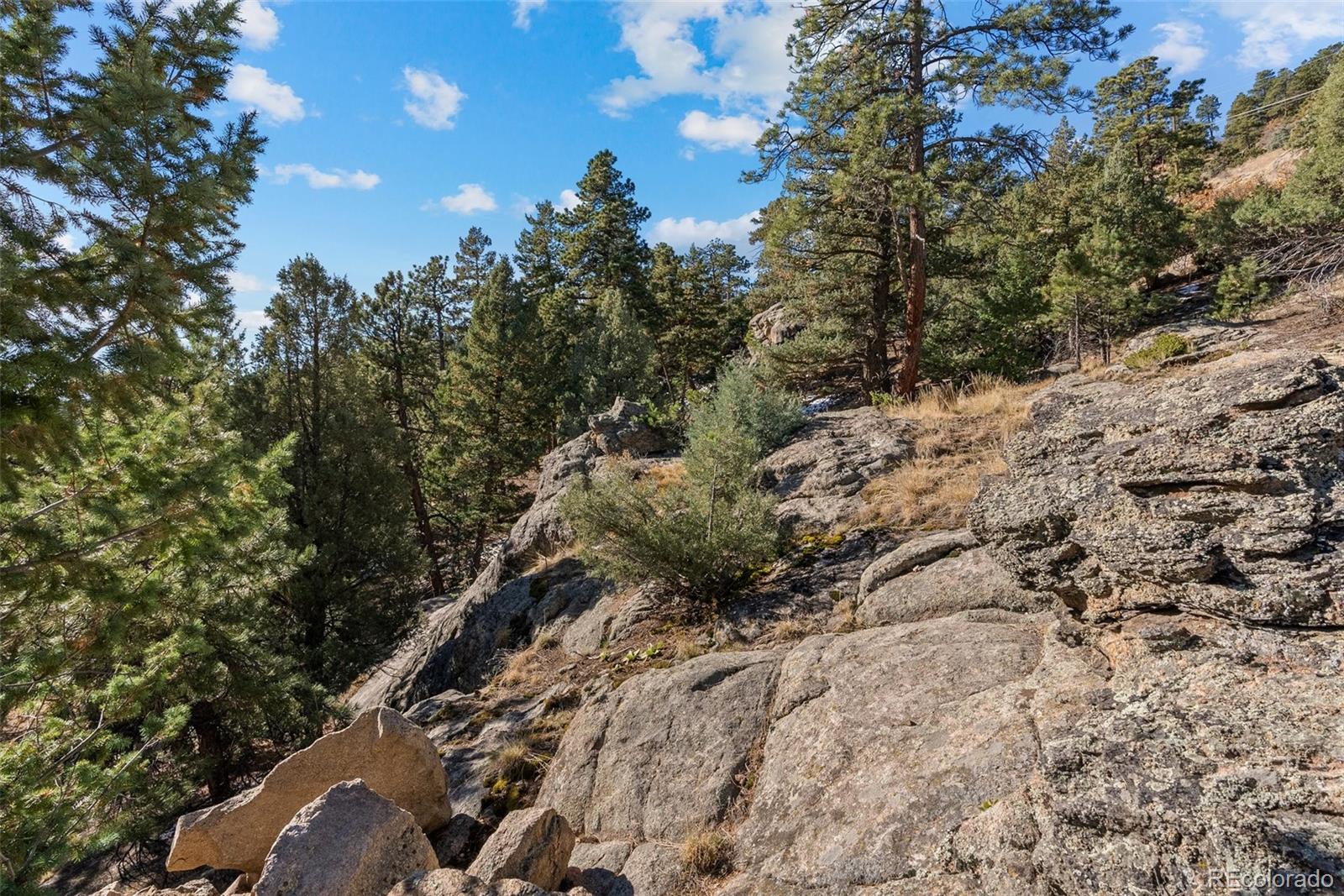MLS Image #40 for 7153  silverhorn drive,evergreen, Colorado