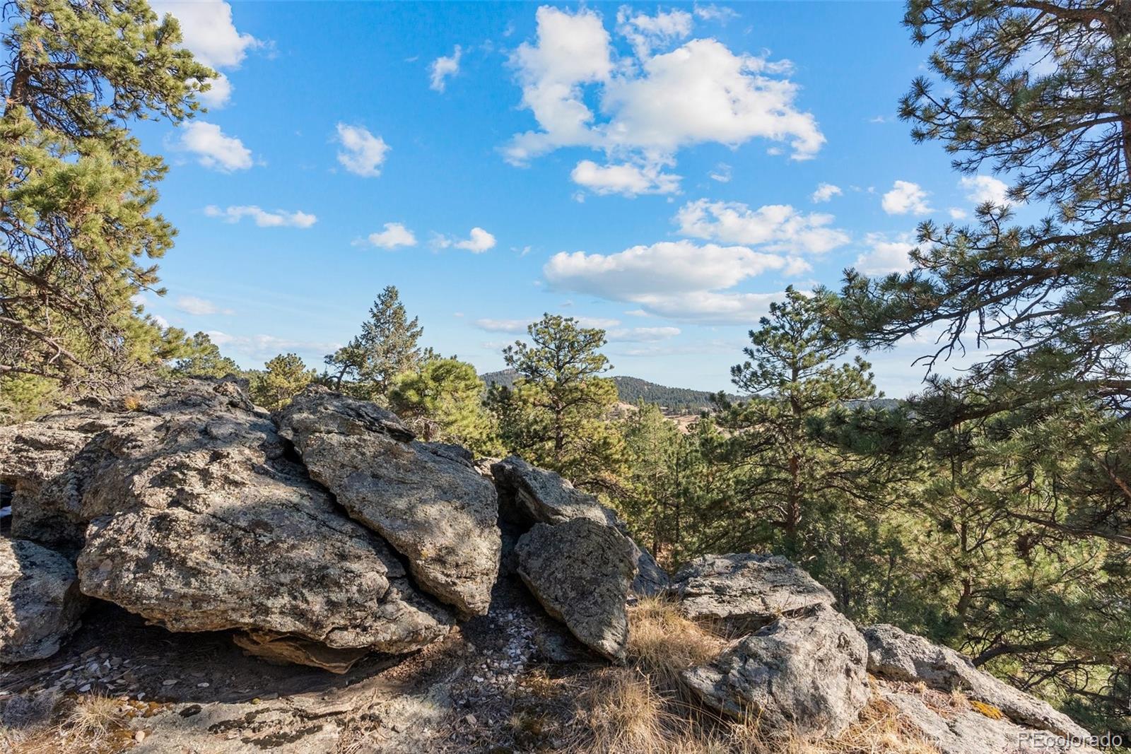 MLS Image #42 for 7153  silverhorn drive,evergreen, Colorado