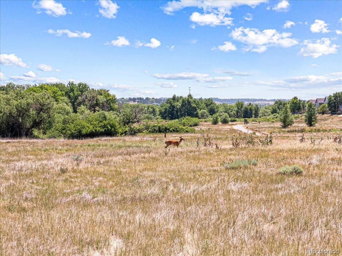 MLS Image #31 for 7976 s kittredge street,englewood, Colorado