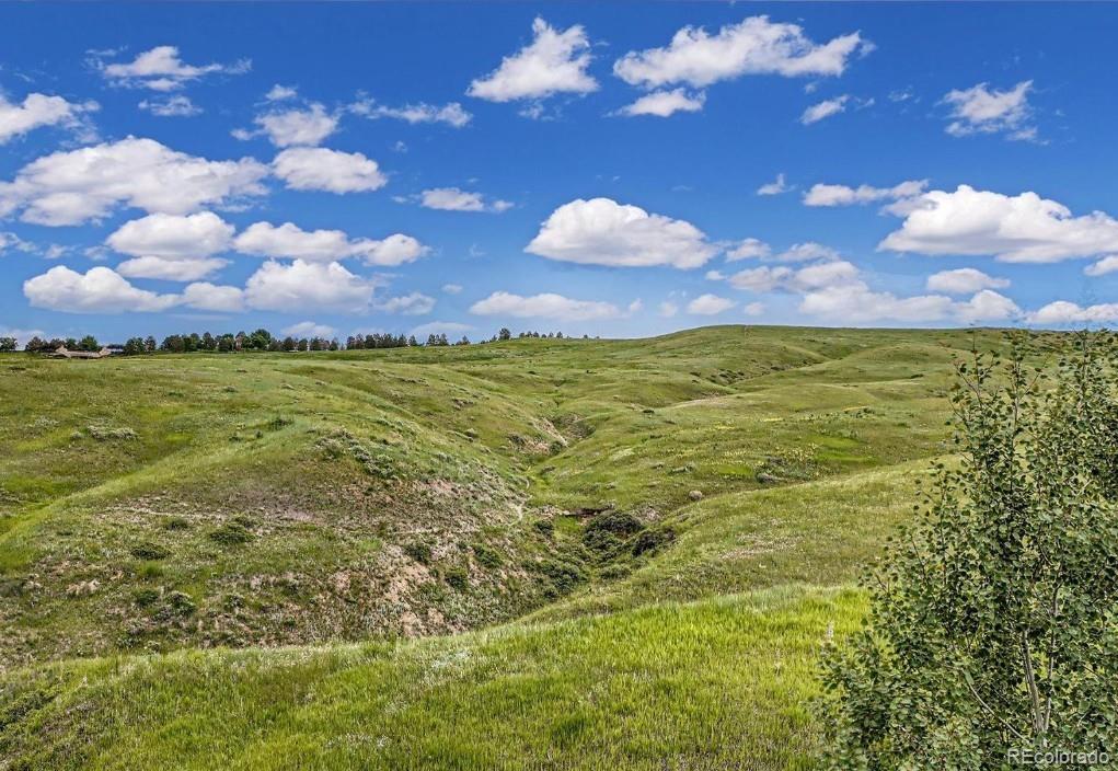 MLS Image #16 for 1068  huron peak avenue,superior, Colorado