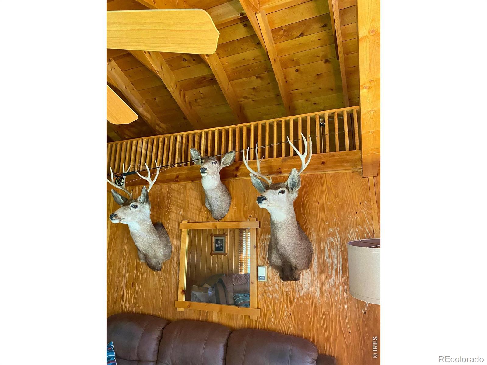 MLS Image #7 for 31720  poudre canyon road,bellvue, Colorado
