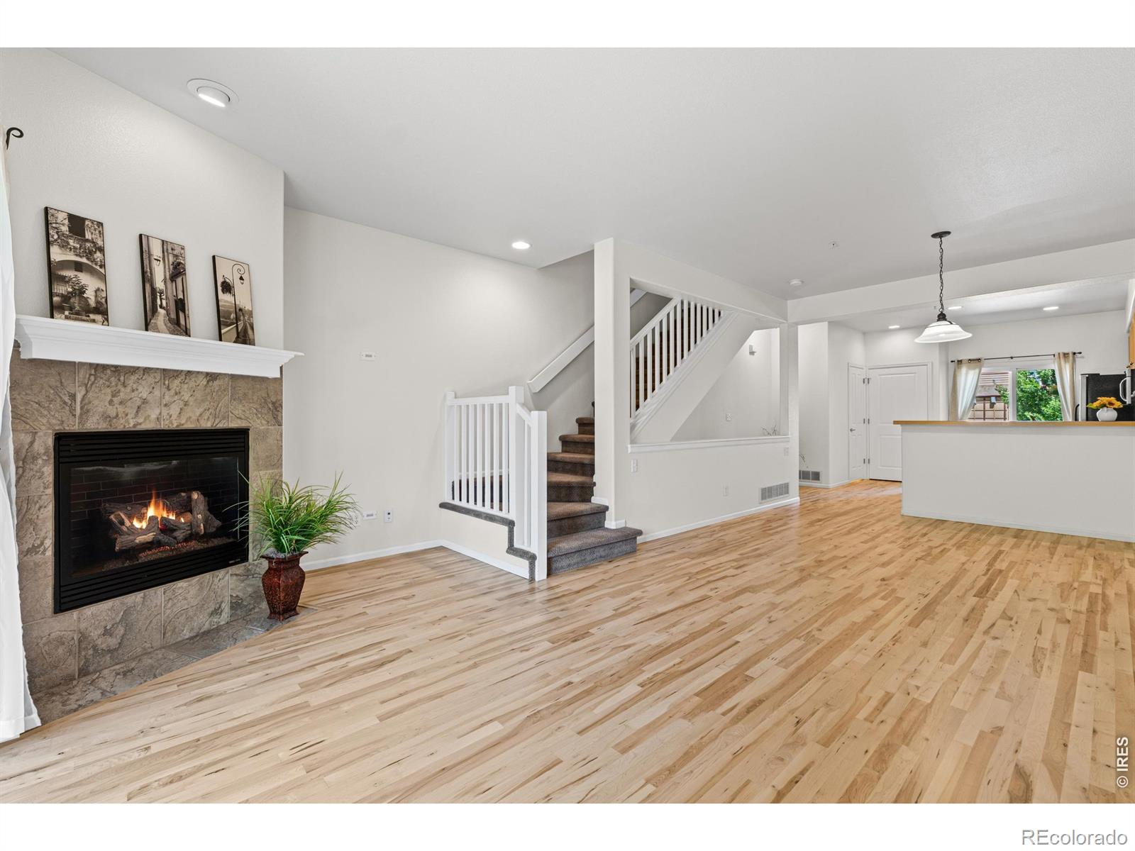 MLS Image #9 for 1221 e prospect road,fort collins, Colorado