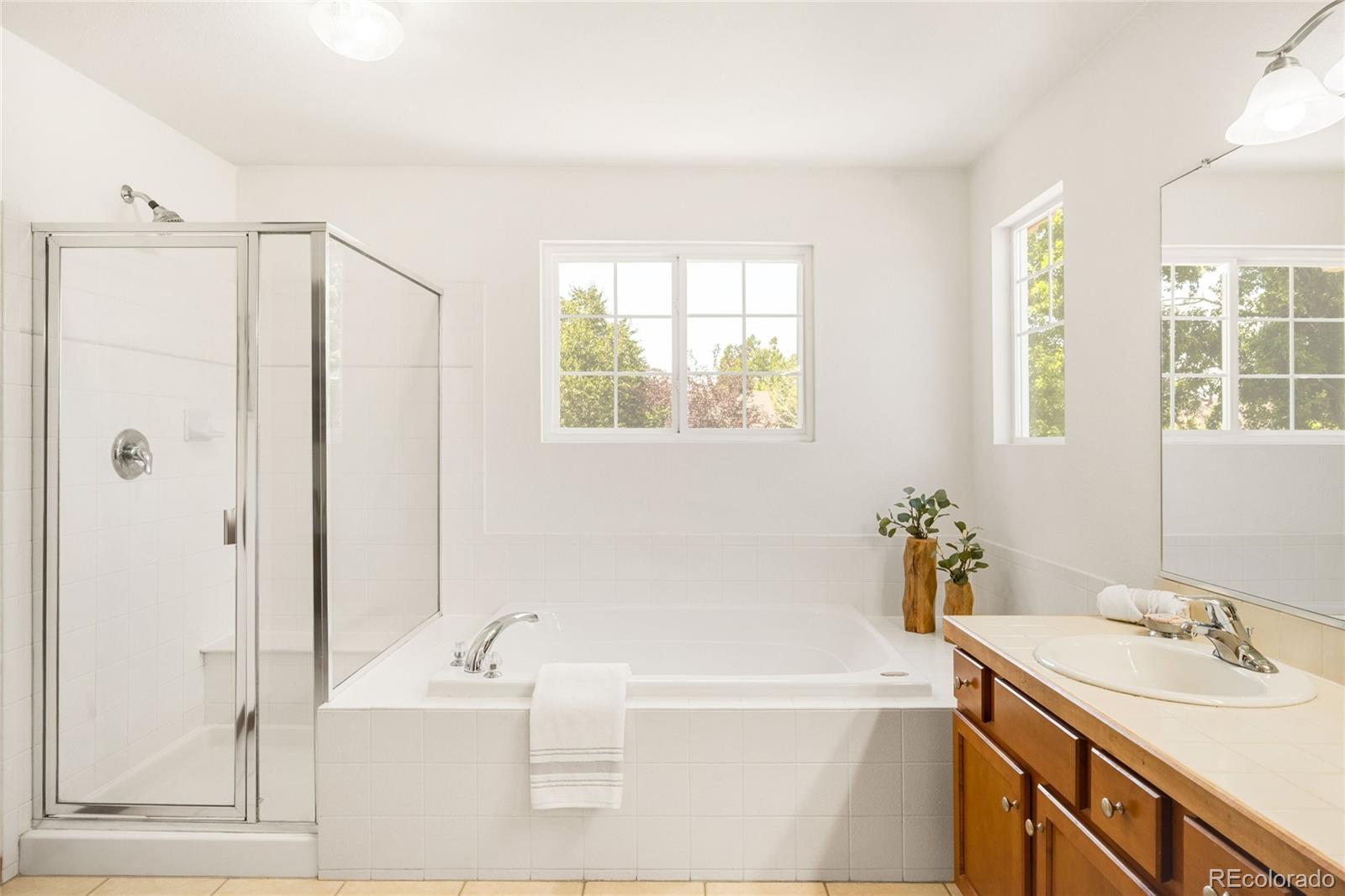 MLS Image #19 for 5323  nelson street,arvada, Colorado
