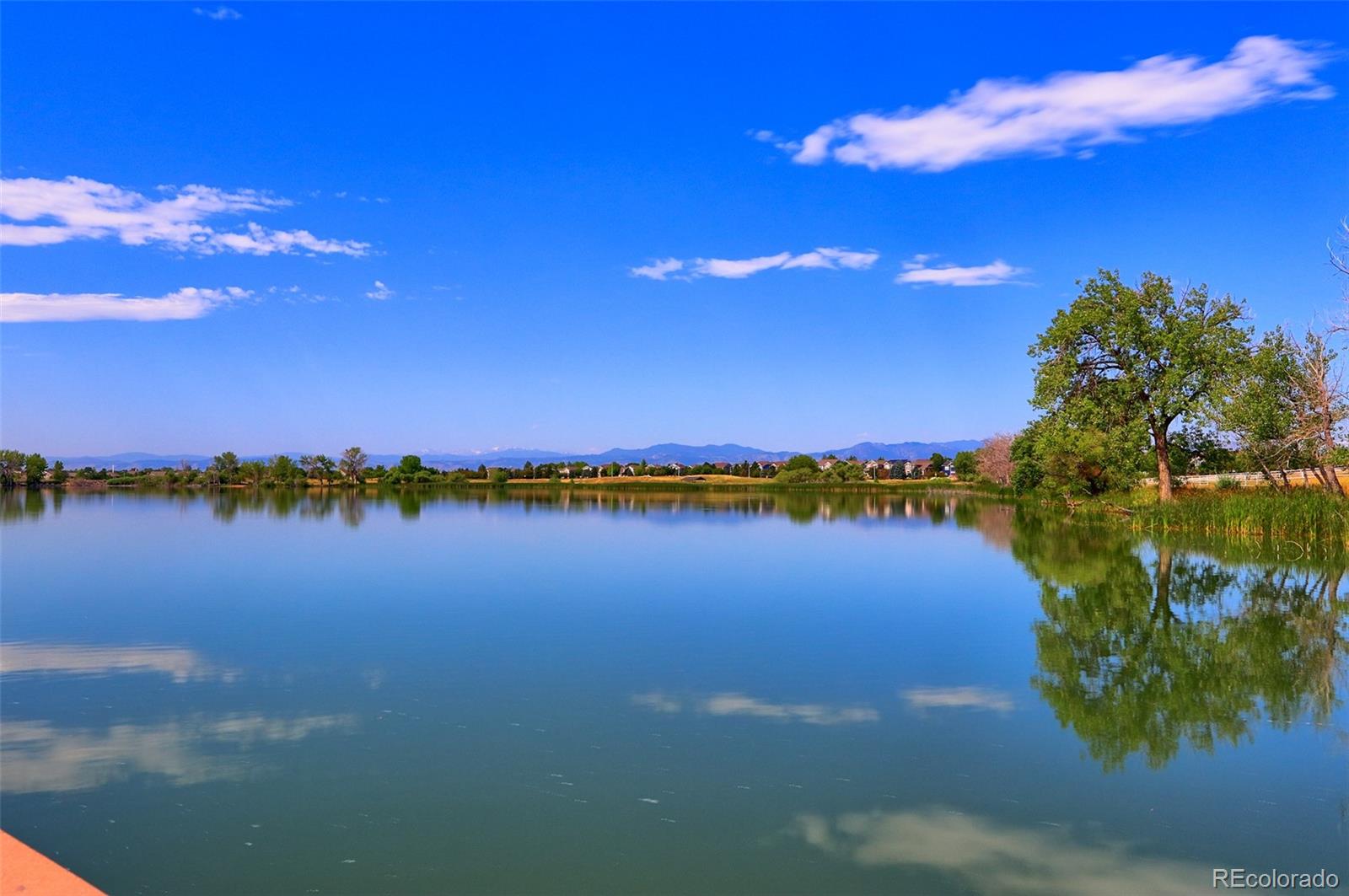 MLS Image #49 for 14363  waterside lane,broomfield, Colorado