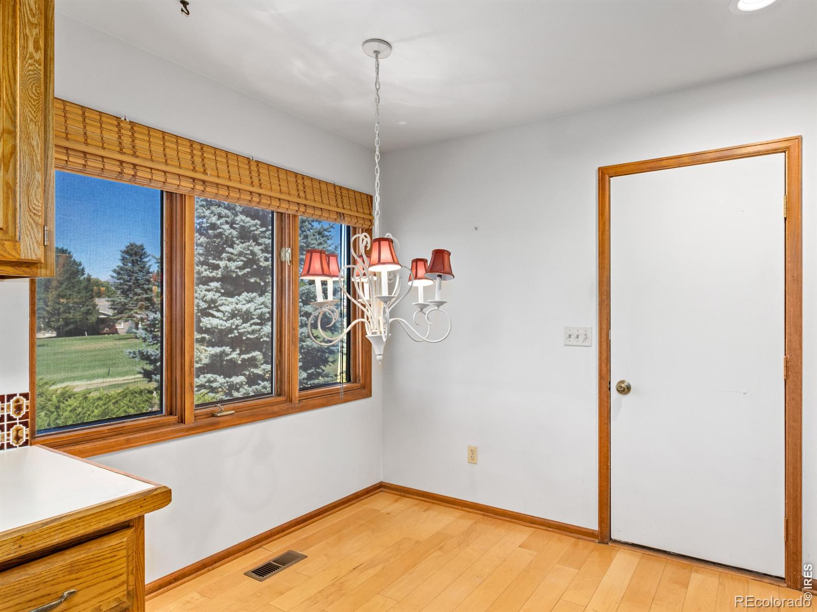 MLS Image #17 for 1301  front nine drive,fort collins, Colorado