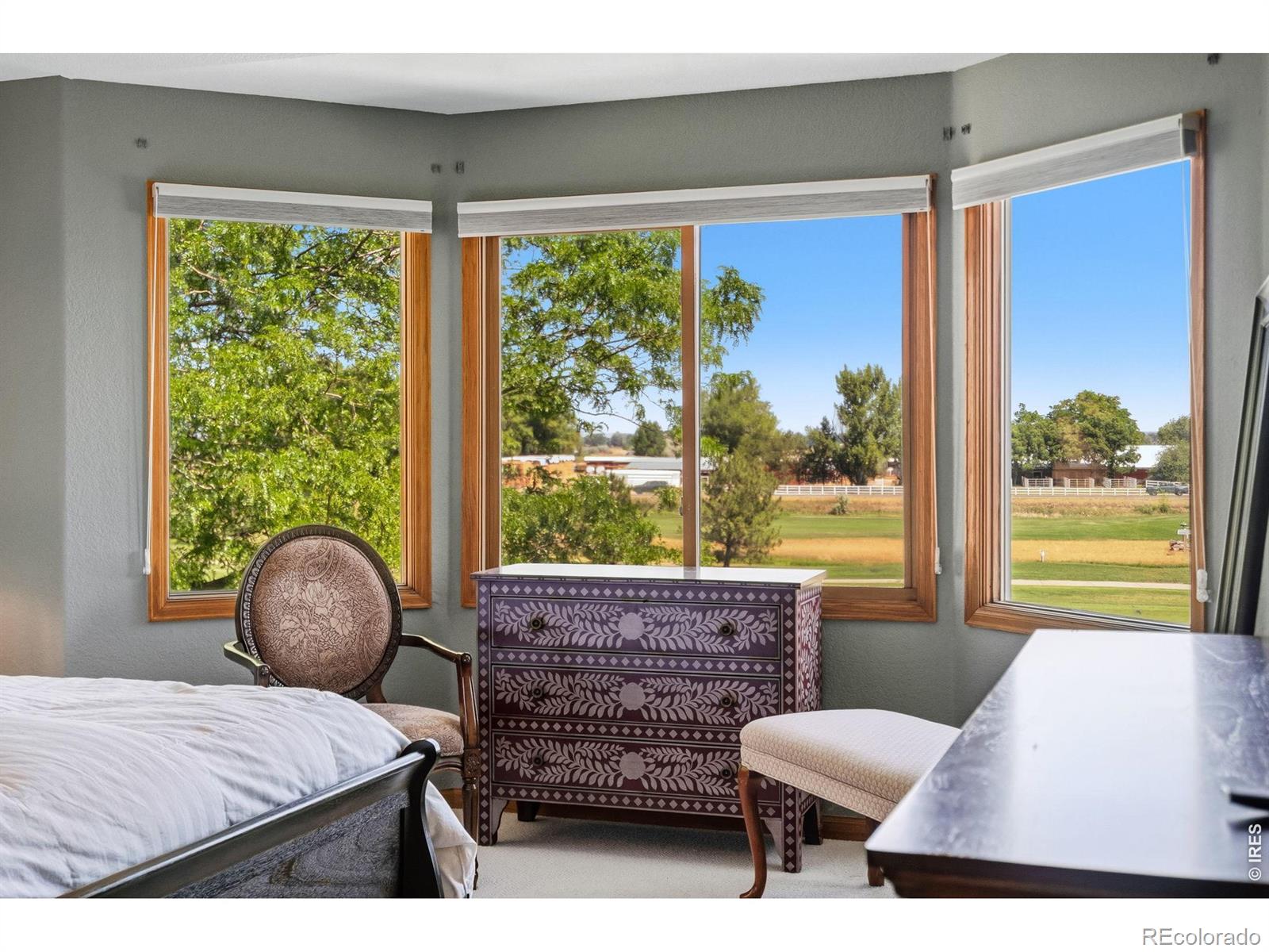 MLS Image #17 for 5320  augusta trail,fort collins, Colorado