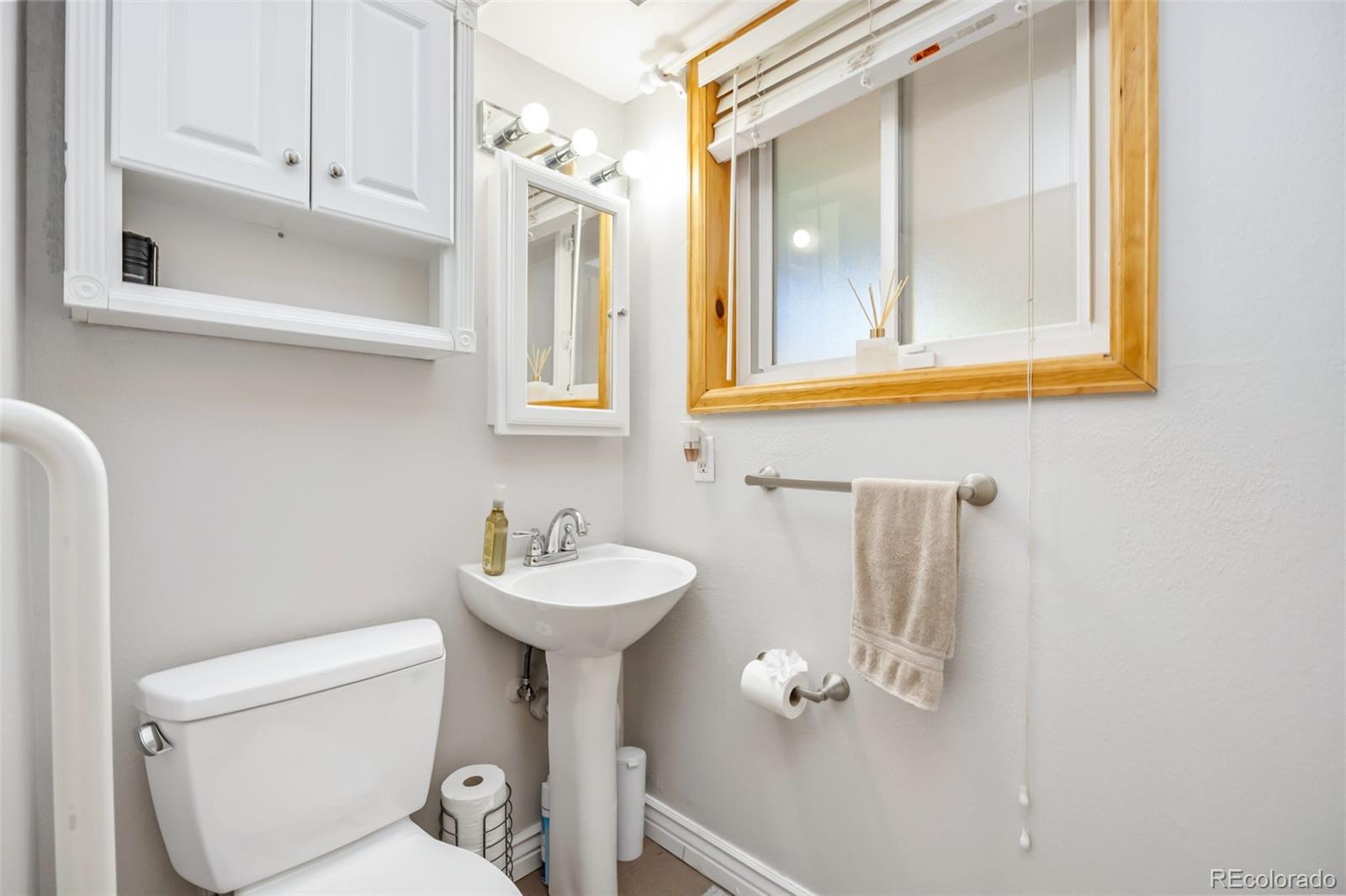 MLS Image #20 for 3004 s xeric court,denver, Colorado