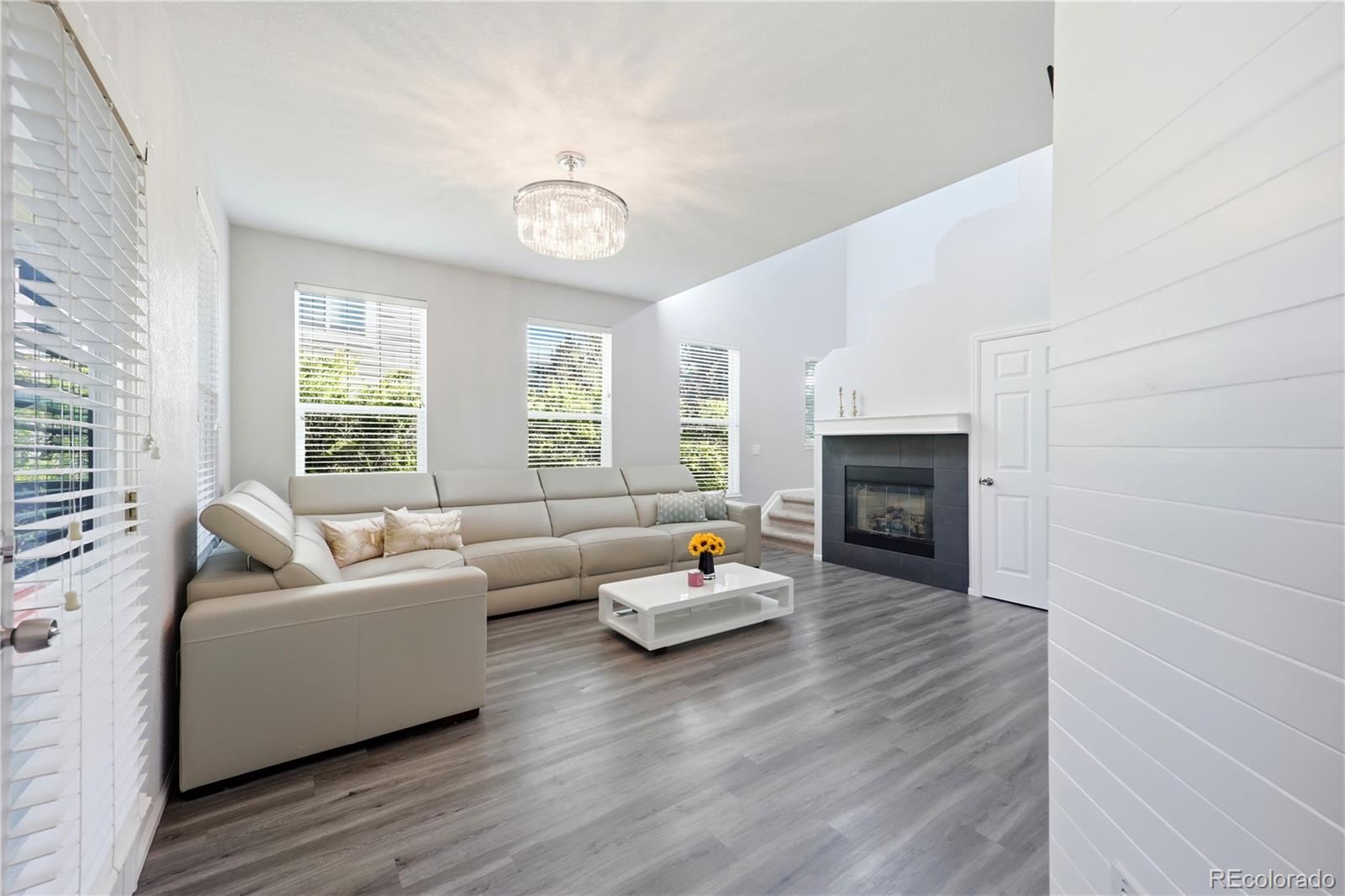 MLS Image #10 for 10699  torrington lane,littleton, Colorado