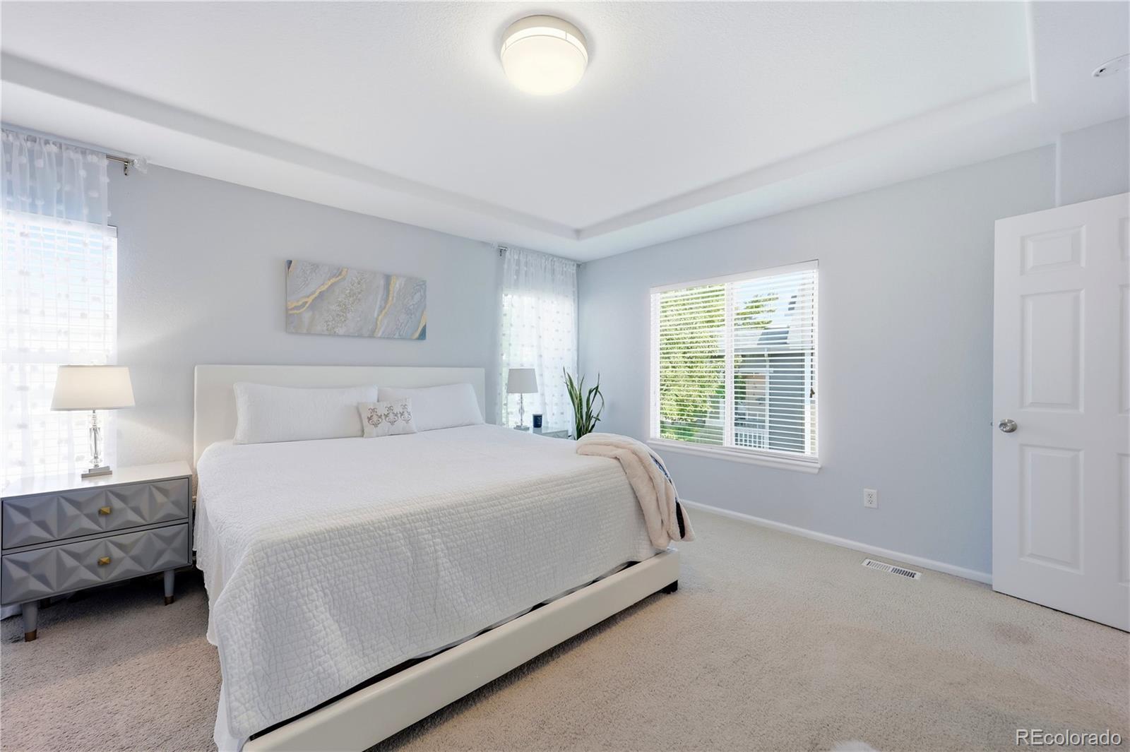 MLS Image #16 for 10699  torrington lane,littleton, Colorado