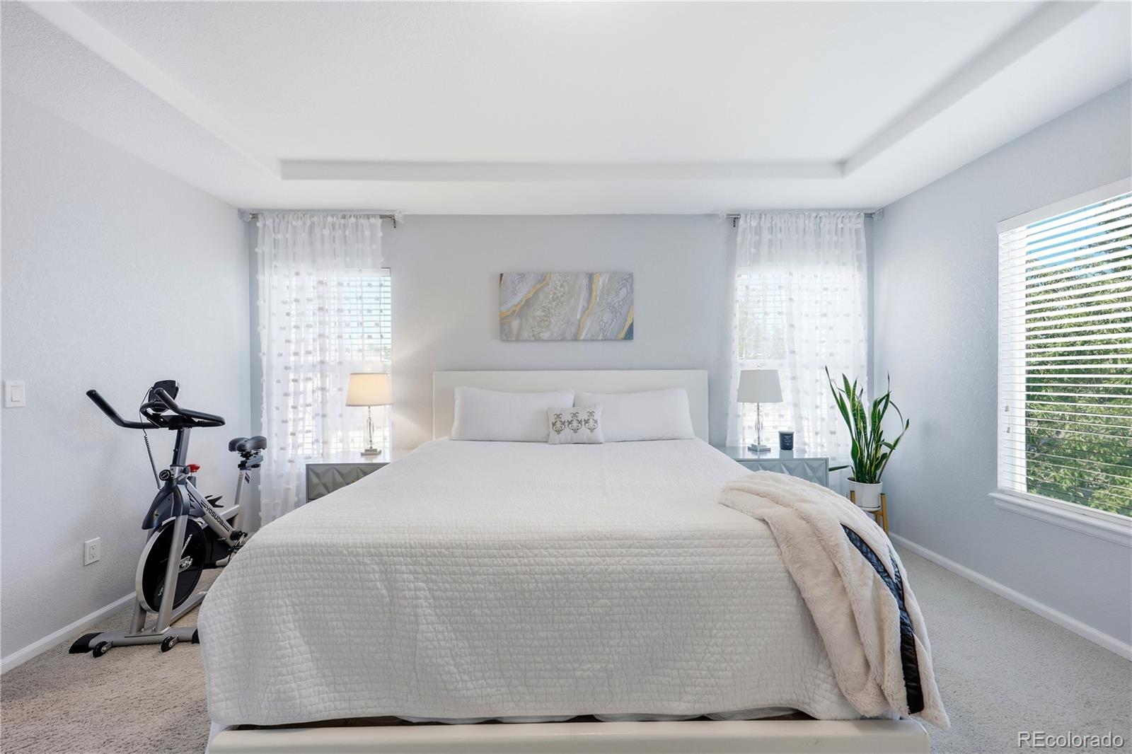 MLS Image #18 for 10699  torrington lane,littleton, Colorado