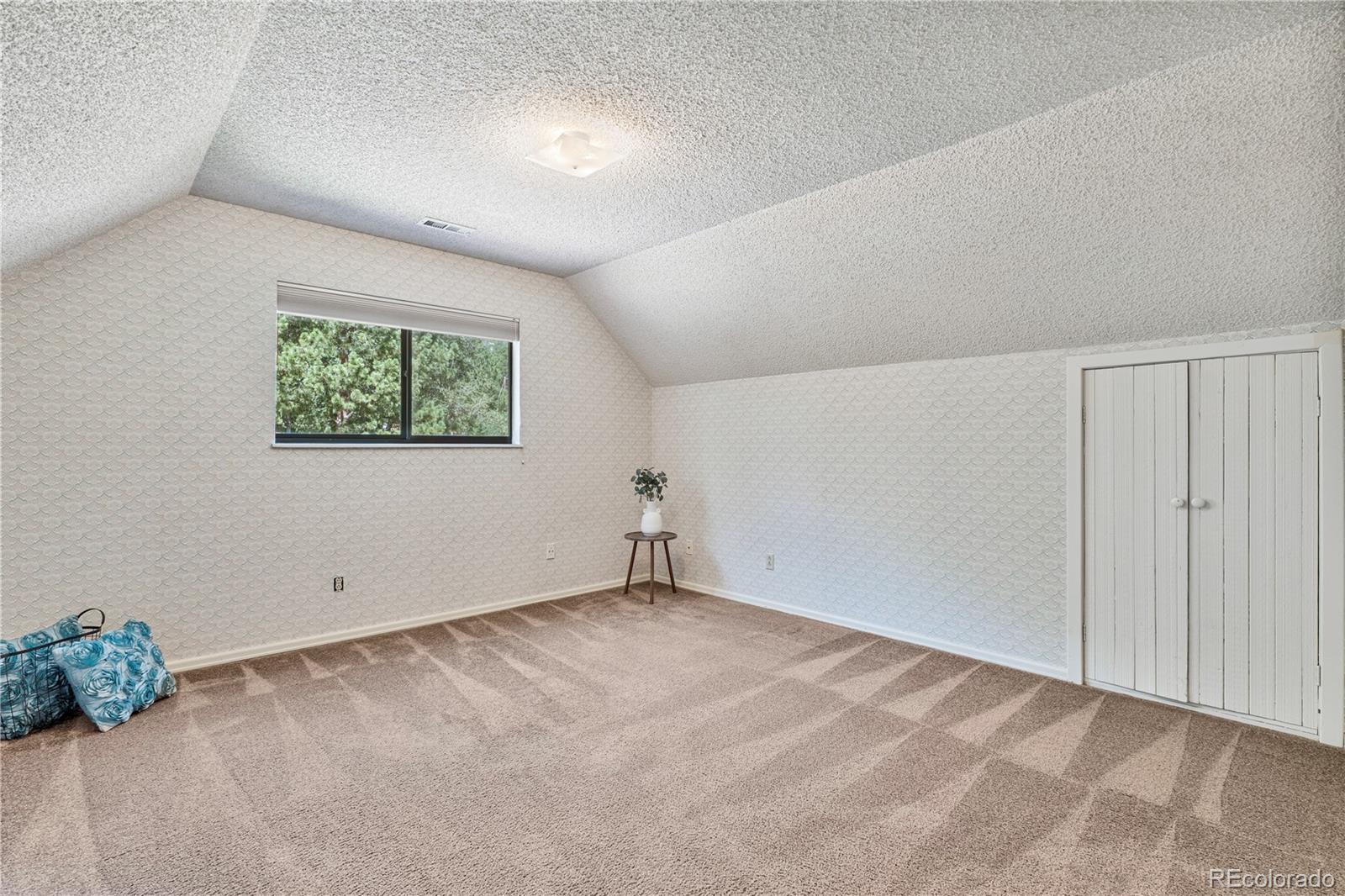 MLS Image #18 for 222  clio avenue,palmer lake, Colorado