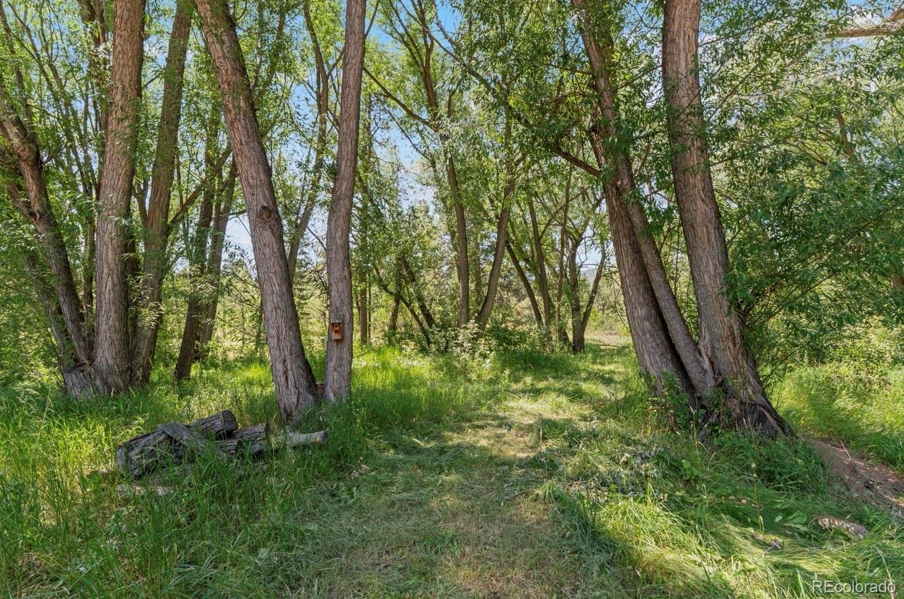 MLS Image #29 for 222  clio avenue,palmer lake, Colorado