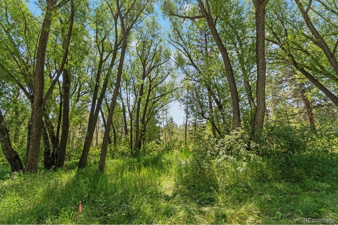 MLS Image #30 for 222  clio avenue,palmer lake, Colorado
