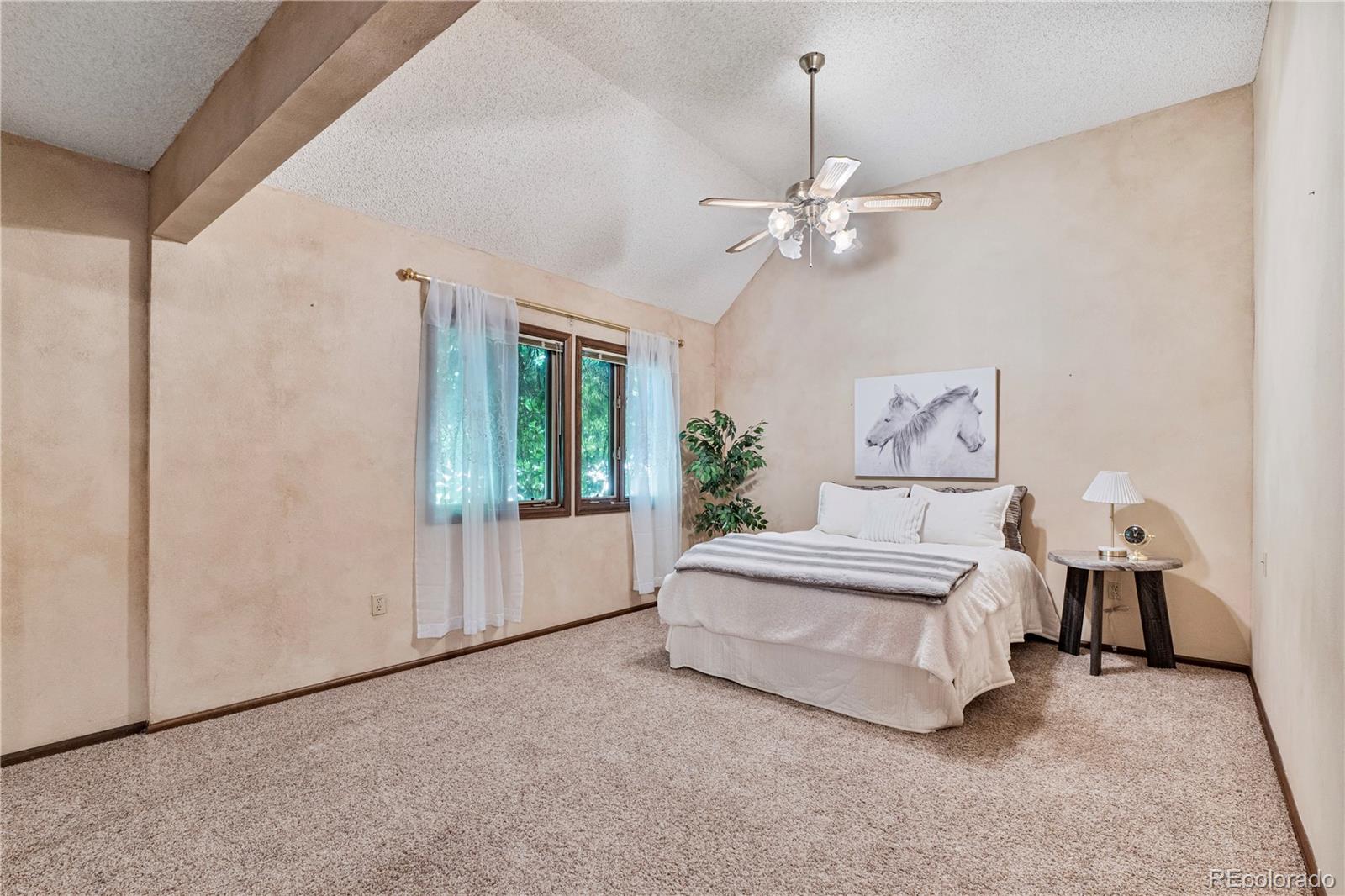 MLS Image #9 for 222  clio avenue,palmer lake, Colorado