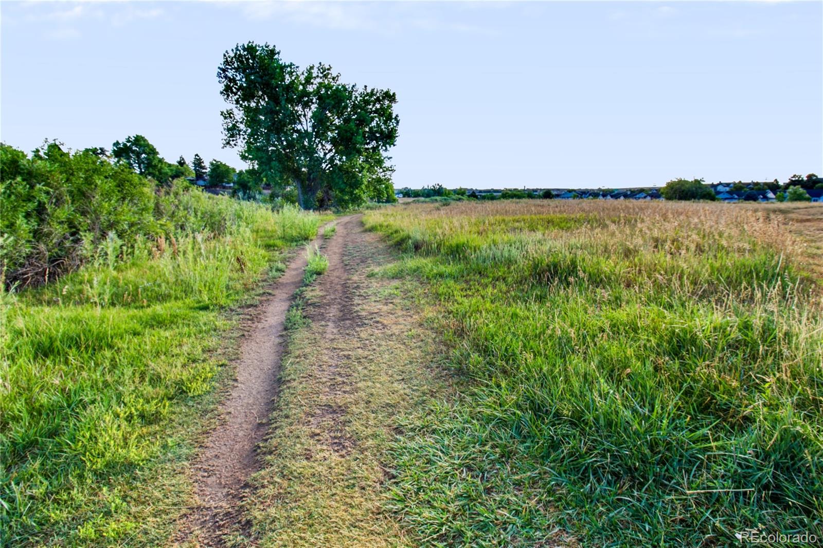 MLS Image #40 for 660  omega lane,lone tree, Colorado