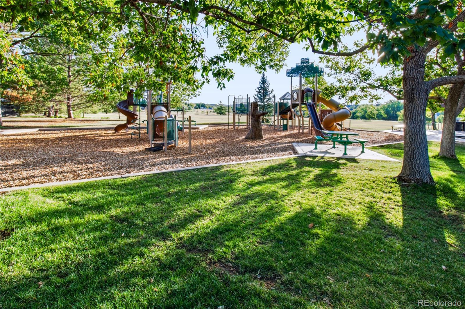 MLS Image #41 for 660  omega lane,lone tree, Colorado