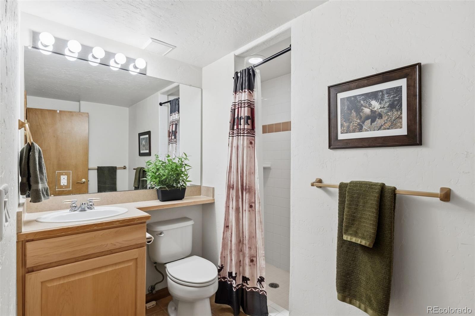 MLS Image #24 for 1512  point drive,frisco, Colorado