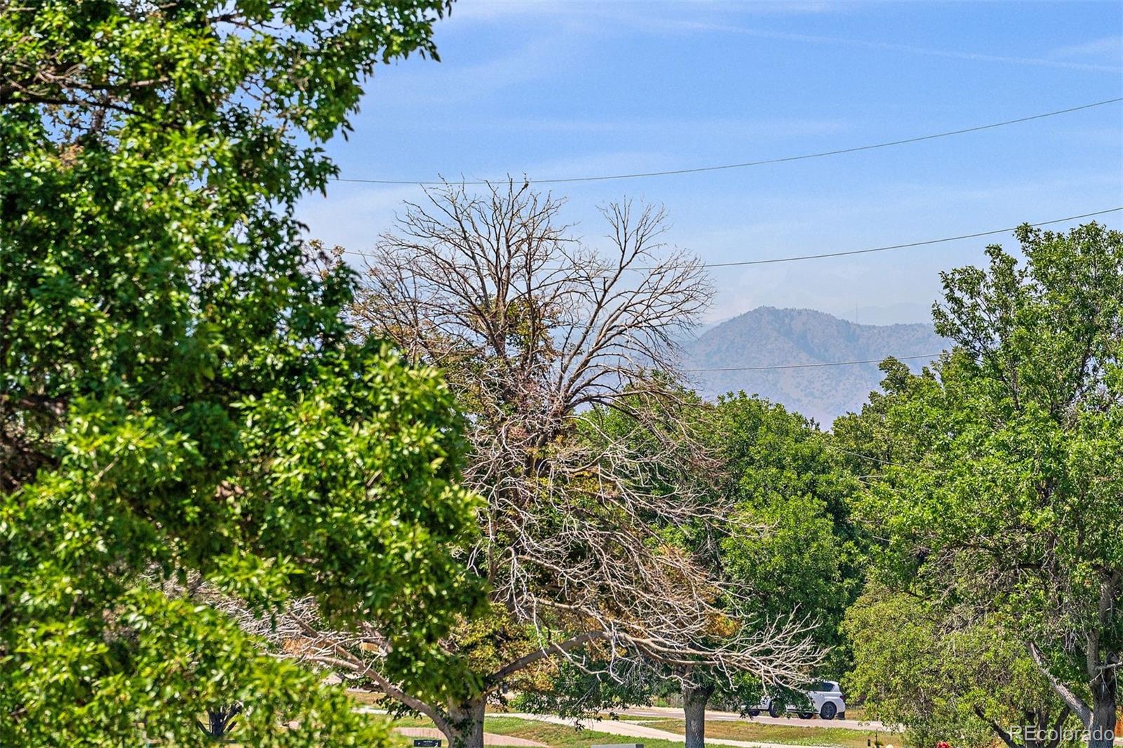 MLS Image #19 for 6355 s jackson street,centennial, Colorado