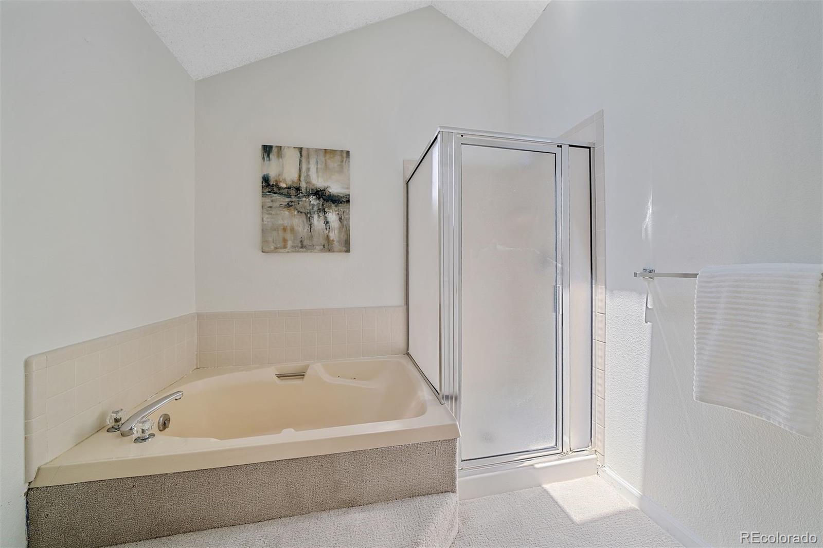 MLS Image #24 for 6355 s jackson street,centennial, Colorado