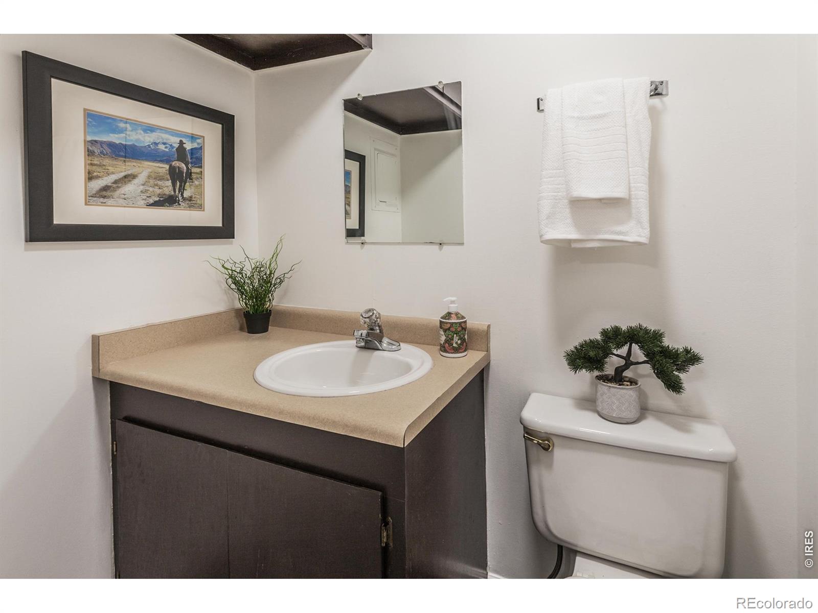 MLS Image #18 for 2430 w plum street,fort collins, Colorado