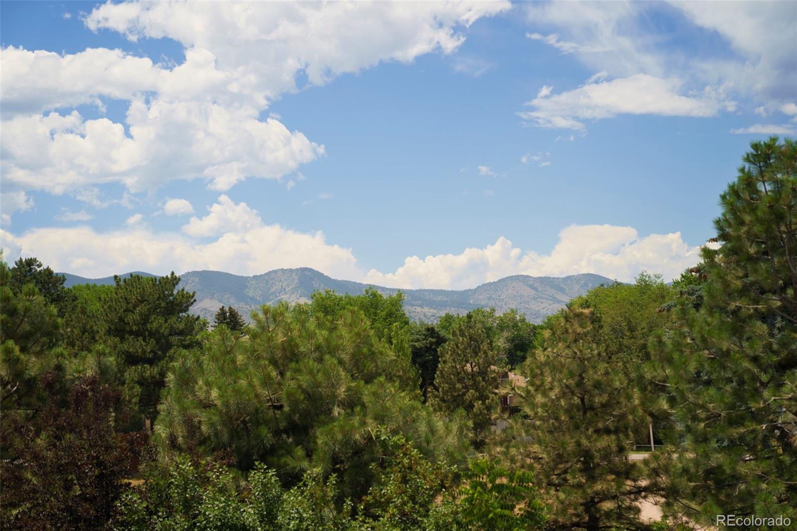 MLS Image #41 for 3363 s newcombe street,lakewood, Colorado