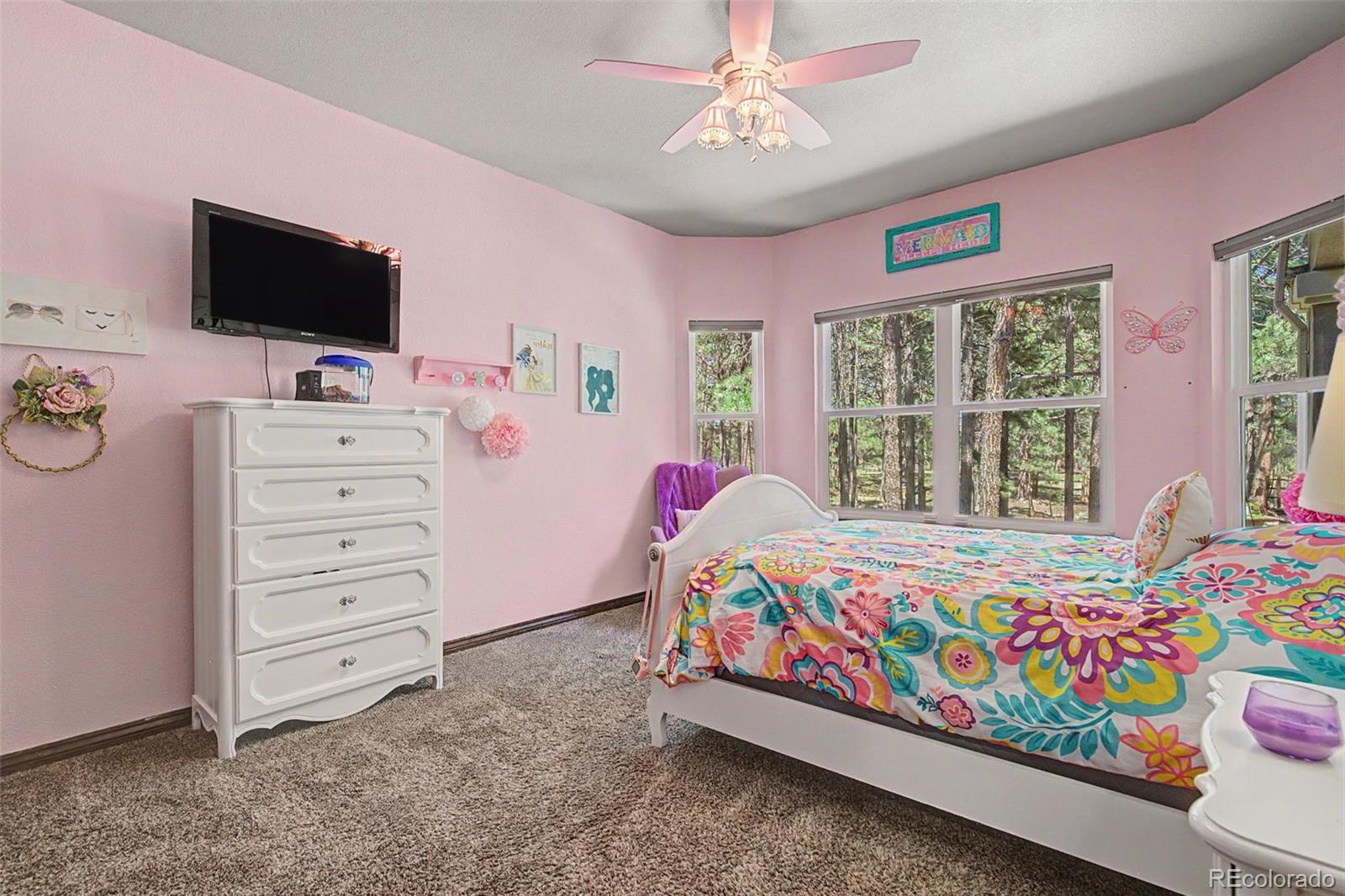 MLS Image #28 for 15545  pole pine point,colorado springs, Colorado
