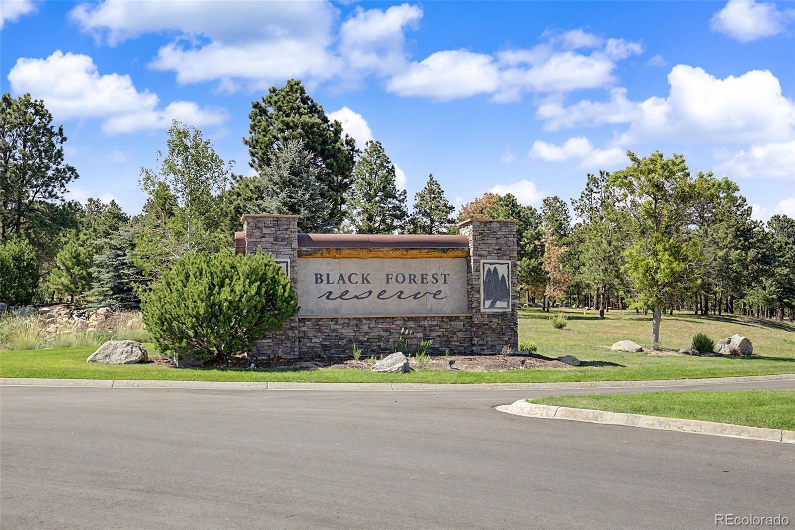 MLS Image #42 for 15545  pole pine point,colorado springs, Colorado