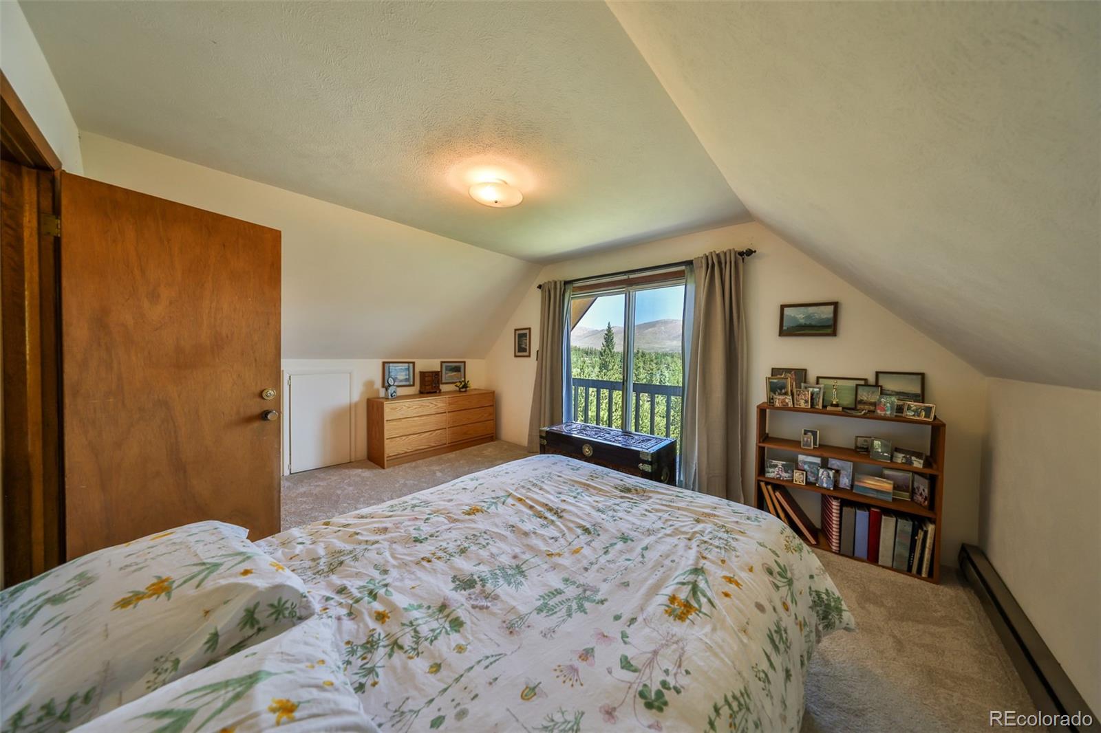 MLS Image #30 for 86  county road 4982 ,grand lake, Colorado