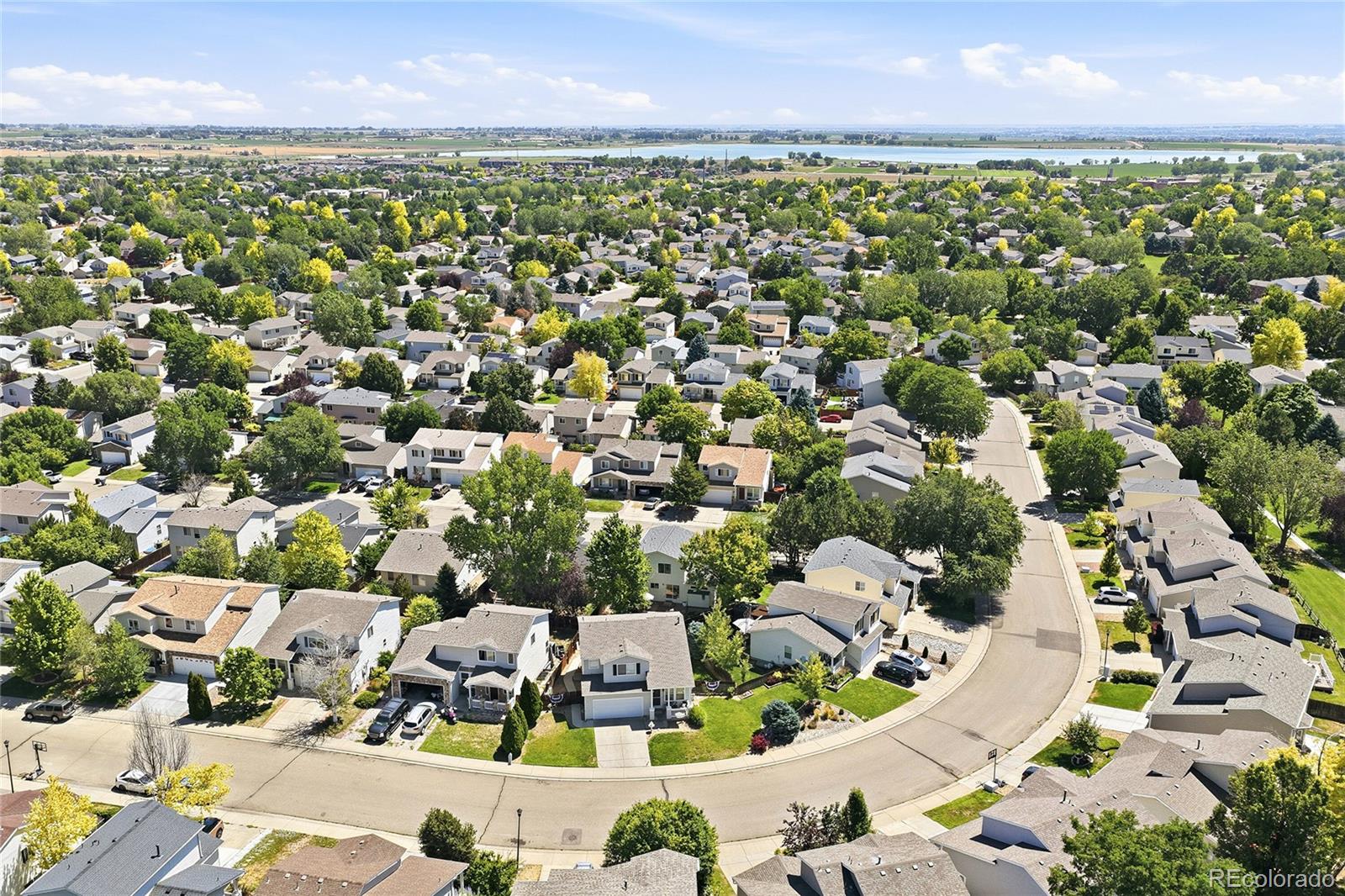 MLS Image #42 for 1213  fremont court,longmont, Colorado