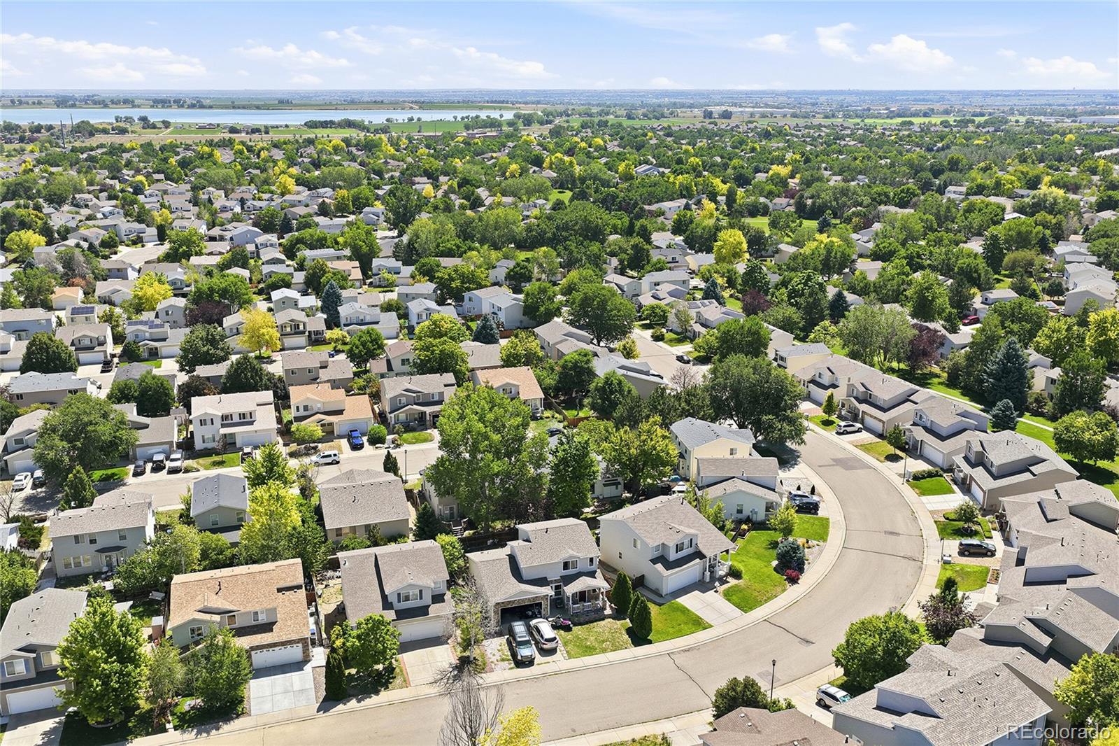MLS Image #43 for 1213  fremont court,longmont, Colorado