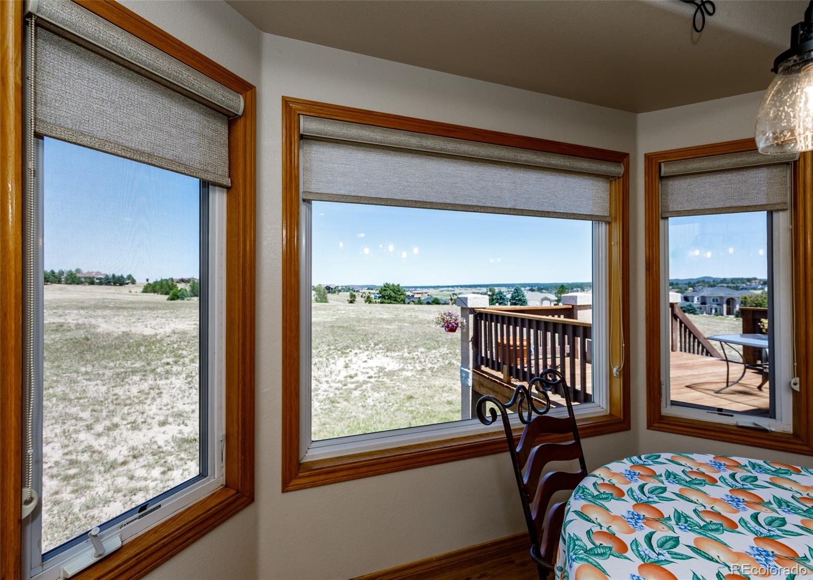 MLS Image #22 for 890 e kings deer point,monument, Colorado