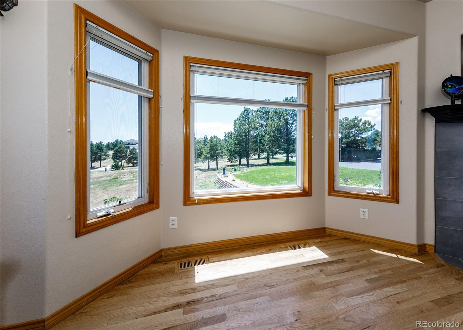 MLS Image #28 for 890 e kings deer point,monument, Colorado