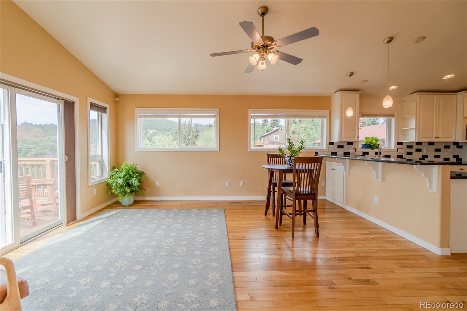 MLS Image #15 for 219  dewell road,woodland park, Colorado
